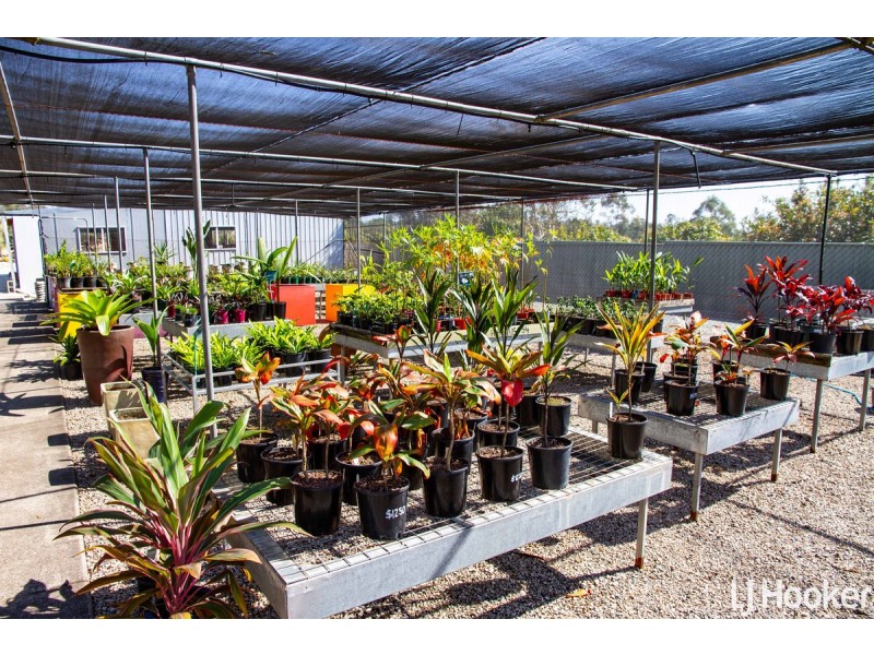 413 Oakey Flat Road, Morayfield QLD 4506