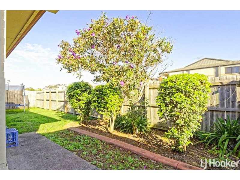 43 Fleet Drive, Kippa-ring QLD 4021