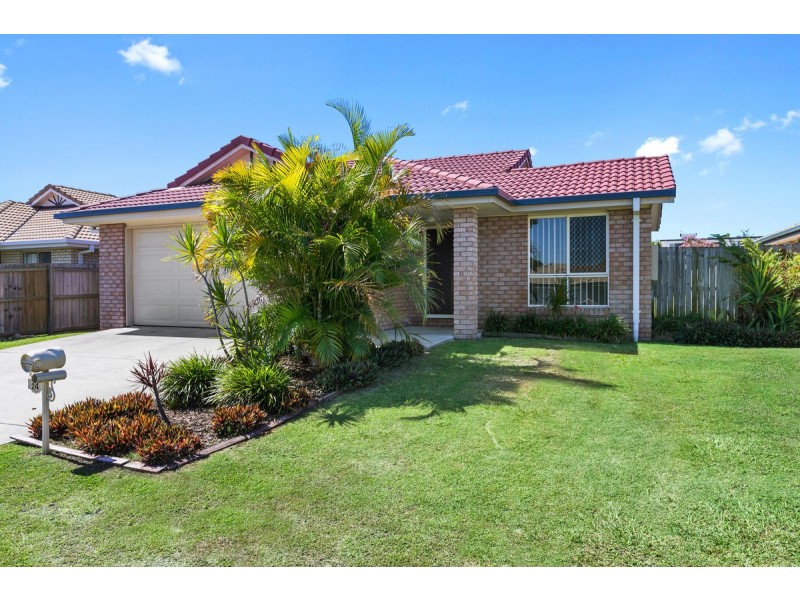 24 Cashmere Street, Rothwell QLD 4022