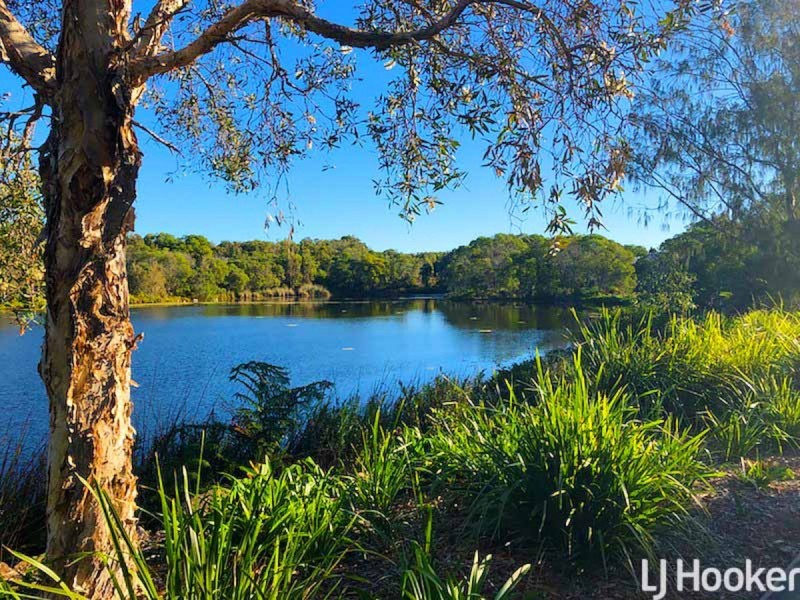 32 Cottonwood Circuit, North Lakes QLD 4509