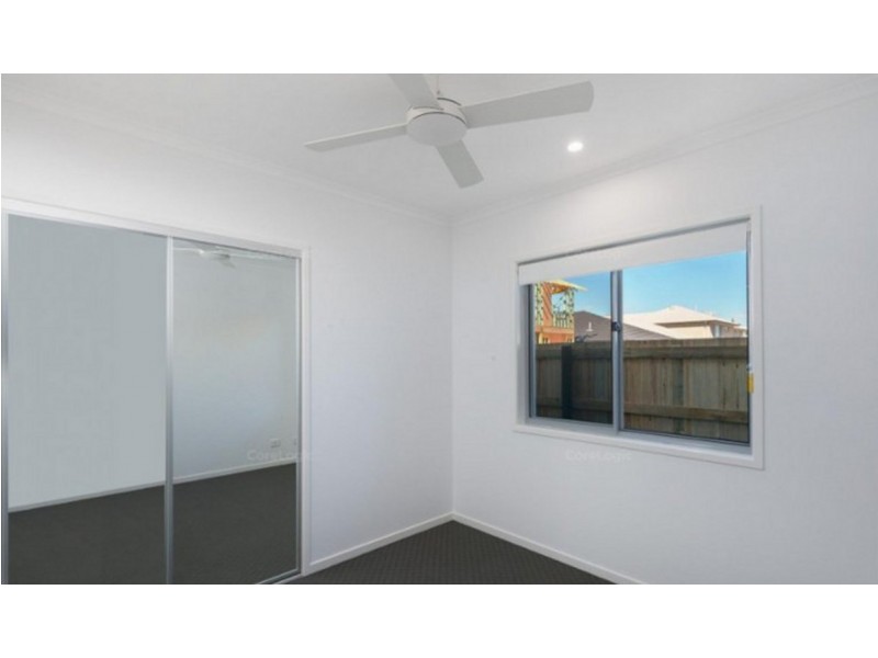 18 Apollo Street, Newport QLD 4020