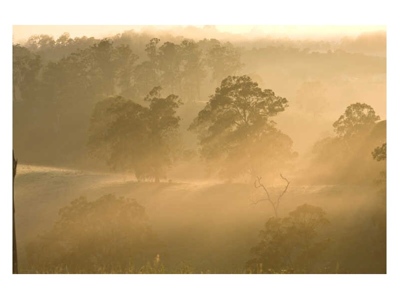 Clear Mountain QLD 4500