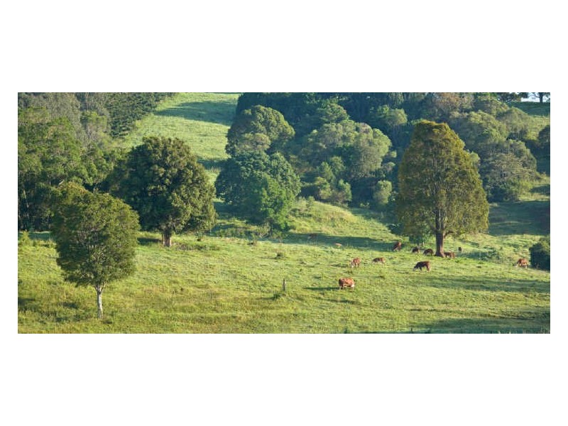 Clear Mountain QLD 4500