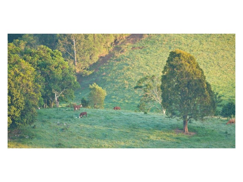 Clear Mountain QLD 4500