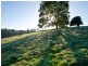 Clear Mountain QLD 4500