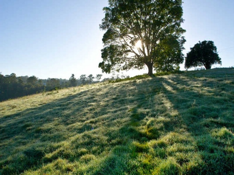 Clear Mountain QLD 4500