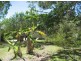 Scarborough QLD 4020