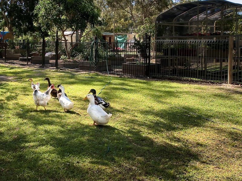 Deception Bay QLD 4508