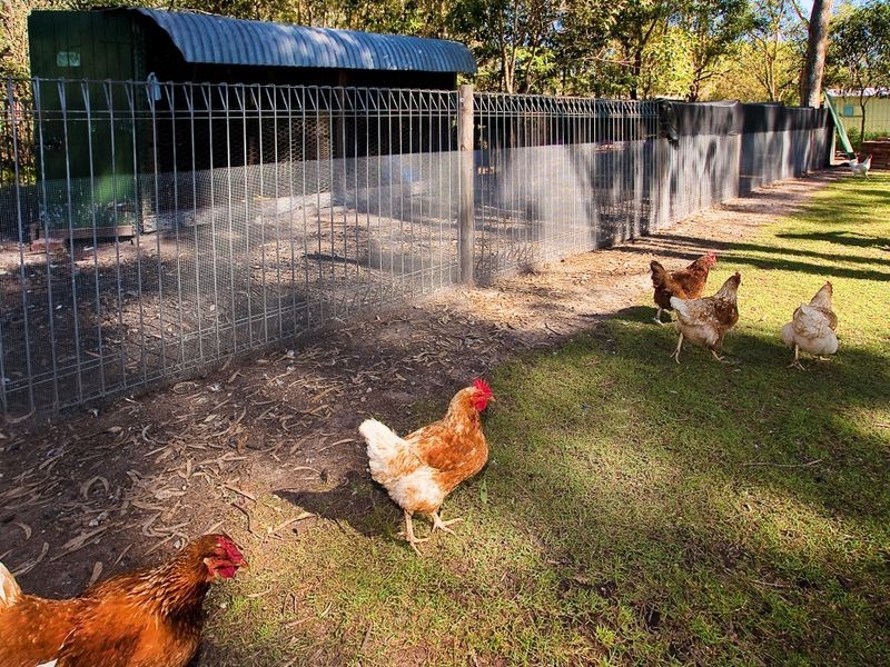 Deception Bay QLD 4508