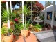 Redcliffe QLD 4020