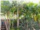 Redcliffe QLD 4020