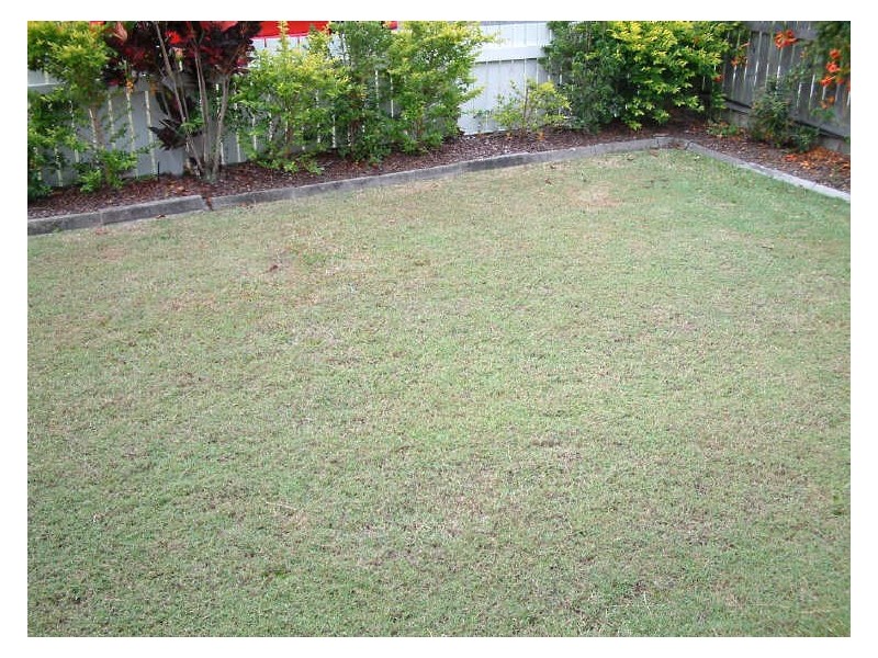 29 Bailey Street, Woody Point QLD 4019