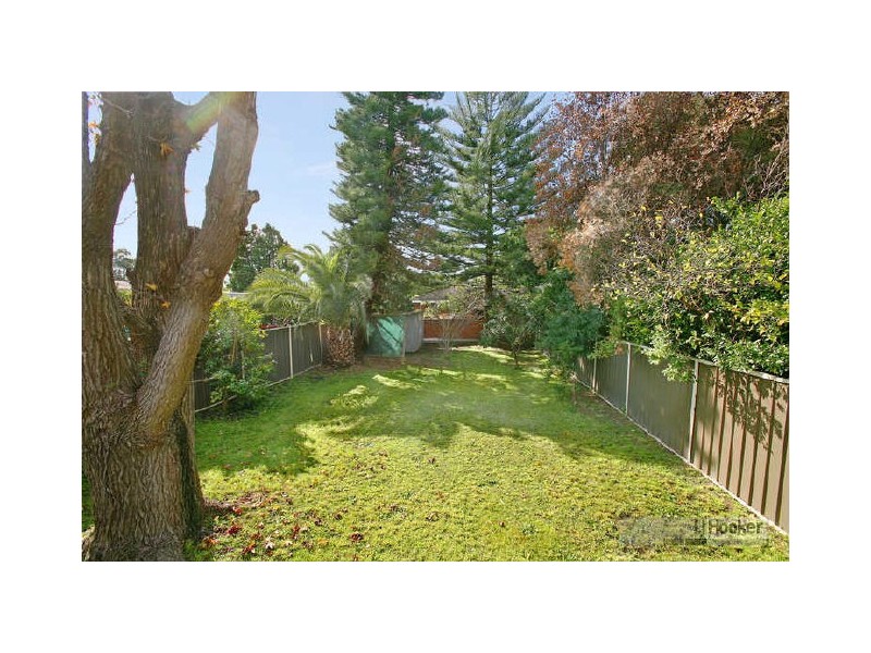 44 Salisbury Street, Penshurst NSW 2222