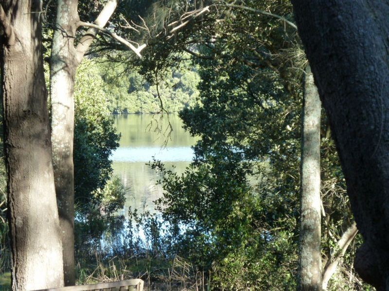 23 Elwin Street, Peakhurst NSW 2210