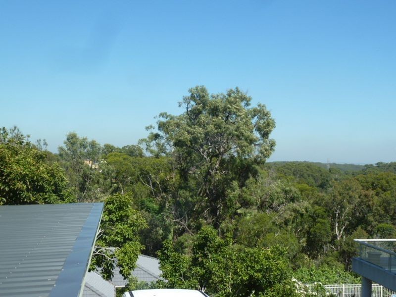 14 Old Forest Road, Lugarno NSW 2210