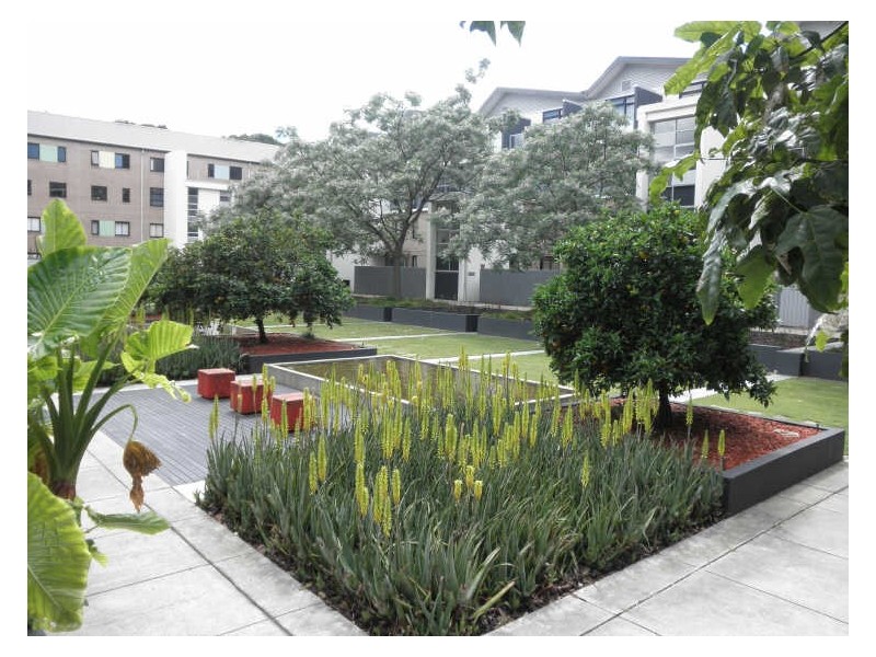 C409/3 Brennan Street, Alexandria NSW 2015