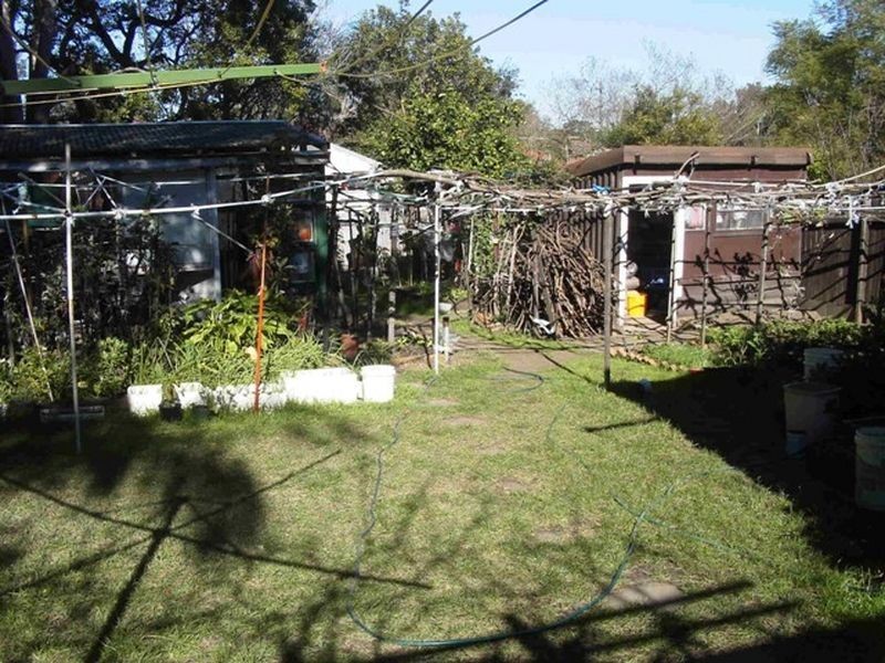 47 Cairns Street, Riverwood NSW 2210