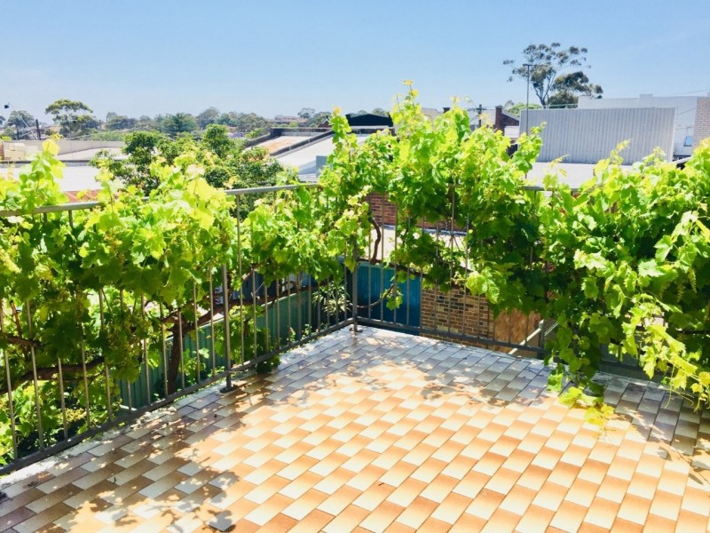 12 Pitt Street, Mortdale NSW 2223