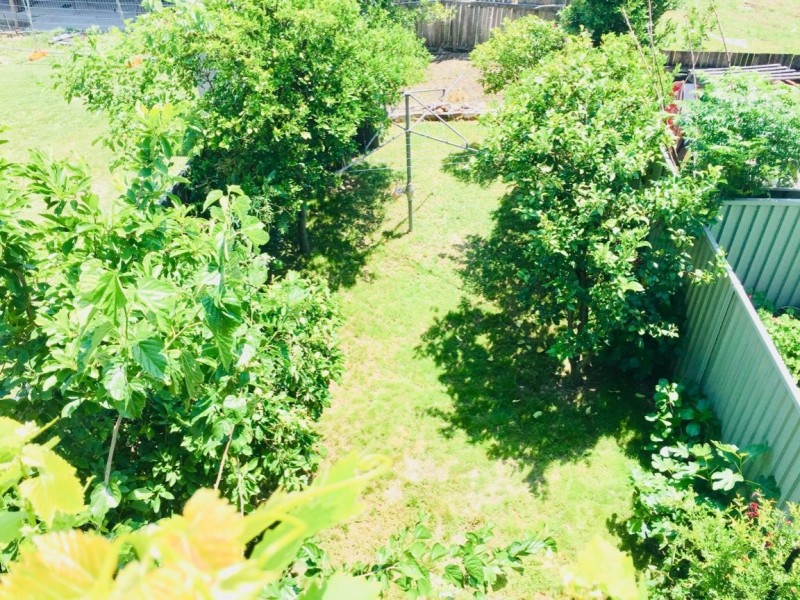 12 Pitt Street, Mortdale NSW 2223