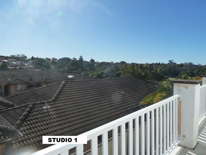 17 Woodford Road, Rockdale NSW 2216