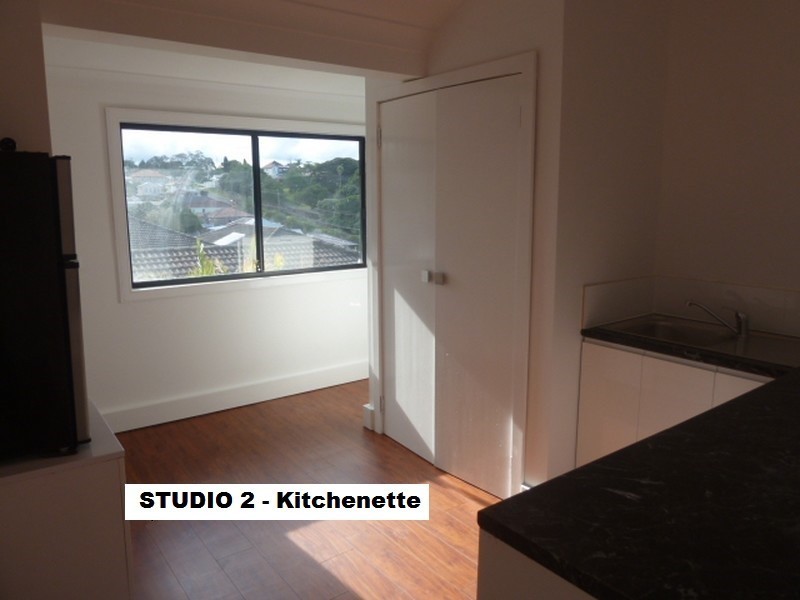 17 Woodford Road, Rockdale NSW 2216