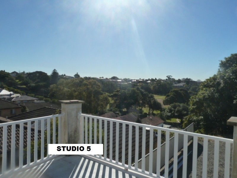 17 Woodford Road, Rockdale NSW 2216