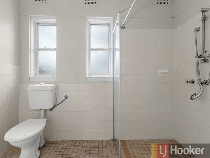 32 Craig Street, Punchbowl NSW 2196