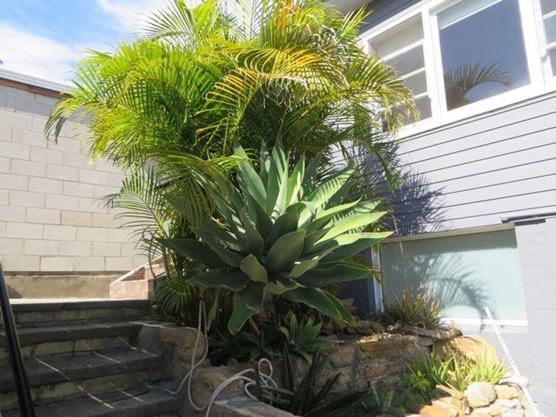 3 Evans Street, Peakhurst NSW 2210