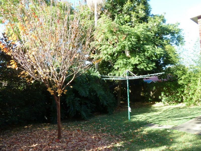 65 Cooloongatta Crescent, Beverly Hills NSW 2209