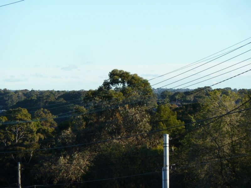 1/121 Mulga Road, Oatley NSW 2223