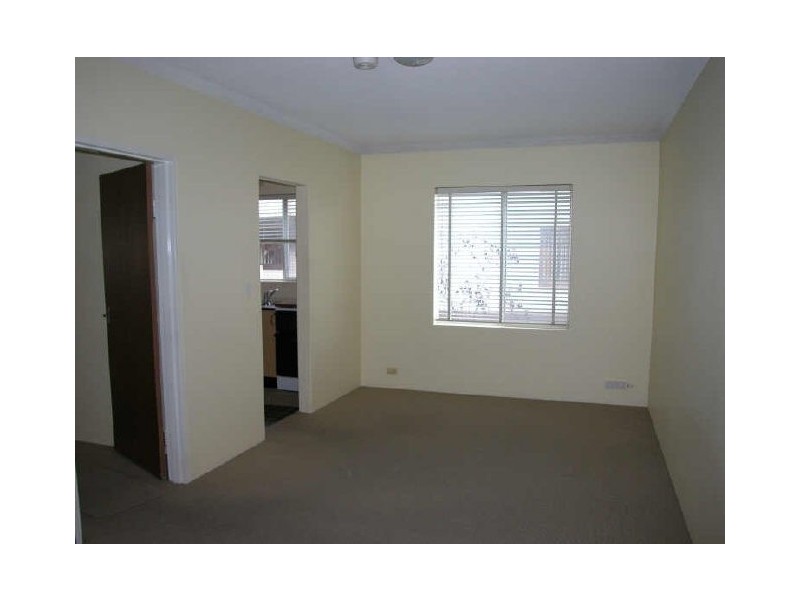 62 Grove Avenue, Penshurst NSW 2222