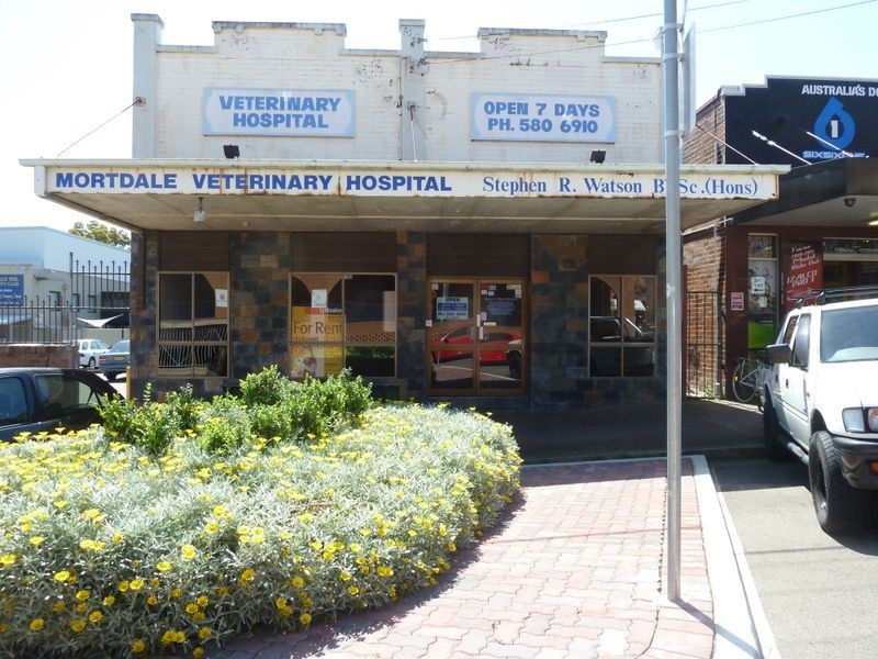 46 Pitt Street, Mortdale NSW 2223