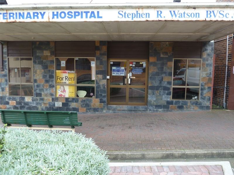 46 Pitt Street, Mortdale NSW 2223