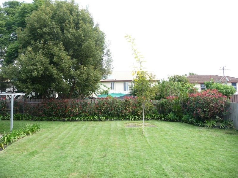 316 Awaba Road, Toronto NSW 2283
