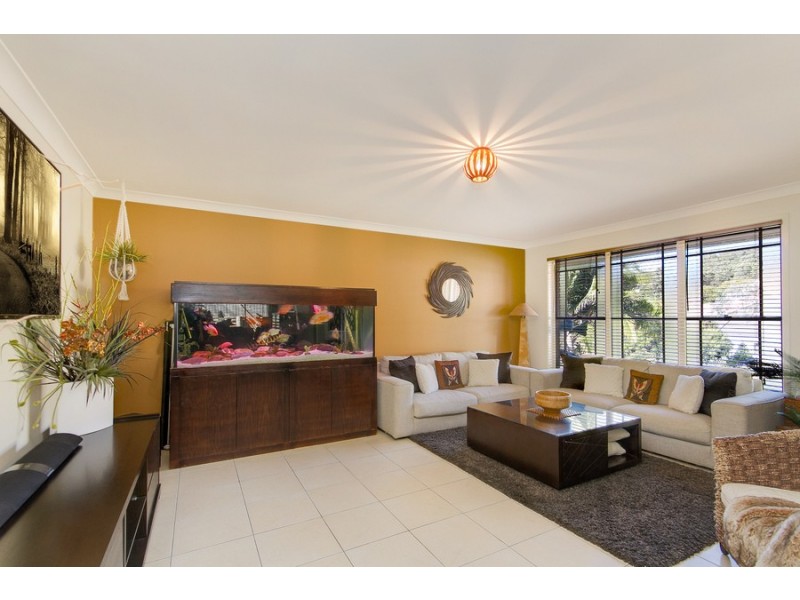 6 Claret Ash Close, Toronto NSW 2283