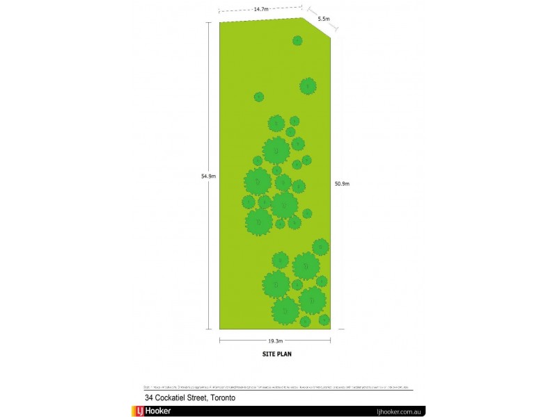 34 Cockatiel Street, Toronto NSW 2283 Floorplan