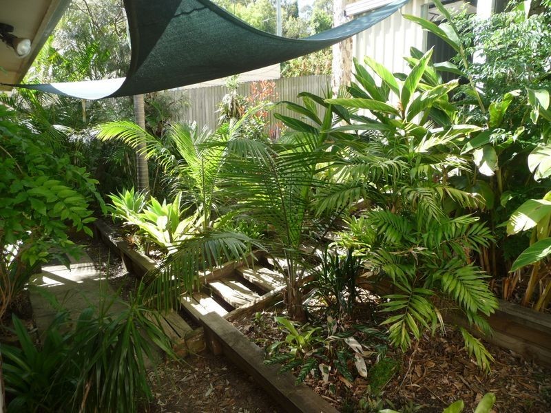 33 Moani Street, Wangi Wangi NSW 2267