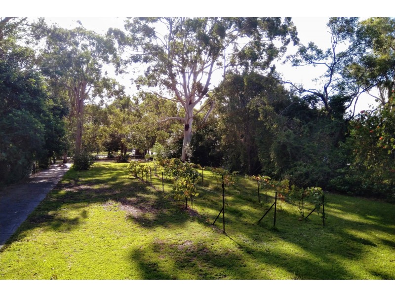 33 Lakeview Road, Morisset Park NSW 2264