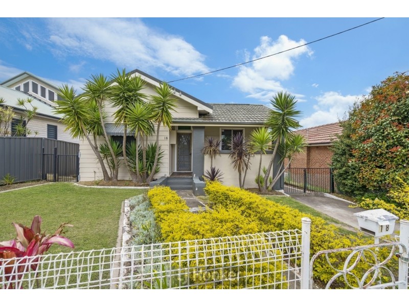 18 Chippindall Street, Speers Point NSW 2284