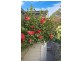 34 Bambara Street, Toronto NSW 2283