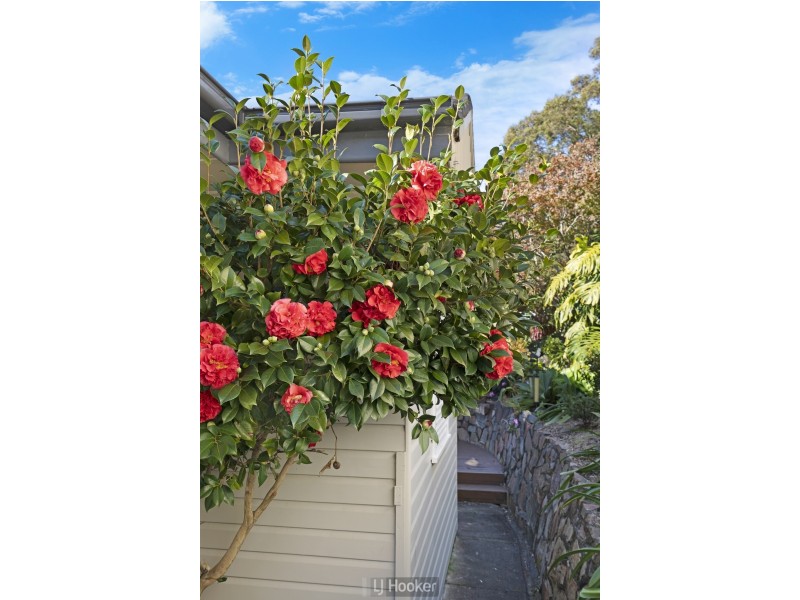 34 Bambara Street, Toronto NSW 2283