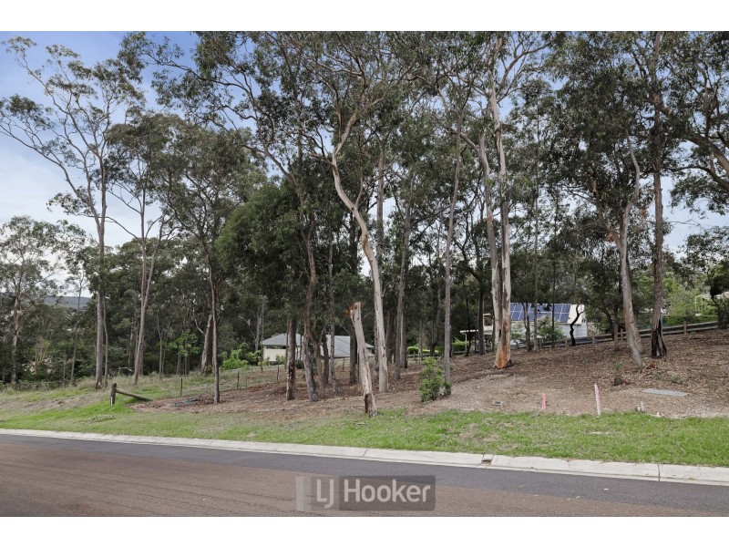 31 Jabiru Street, Carey Bay NSW 2283