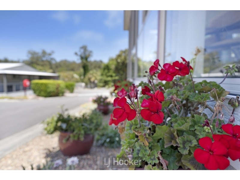 32/3 Parkside Parade, Toronto NSW 2283