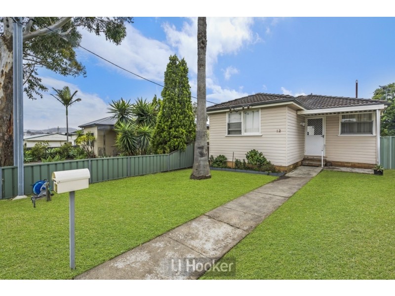 12 Irving Street, Edgeworth NSW 2285