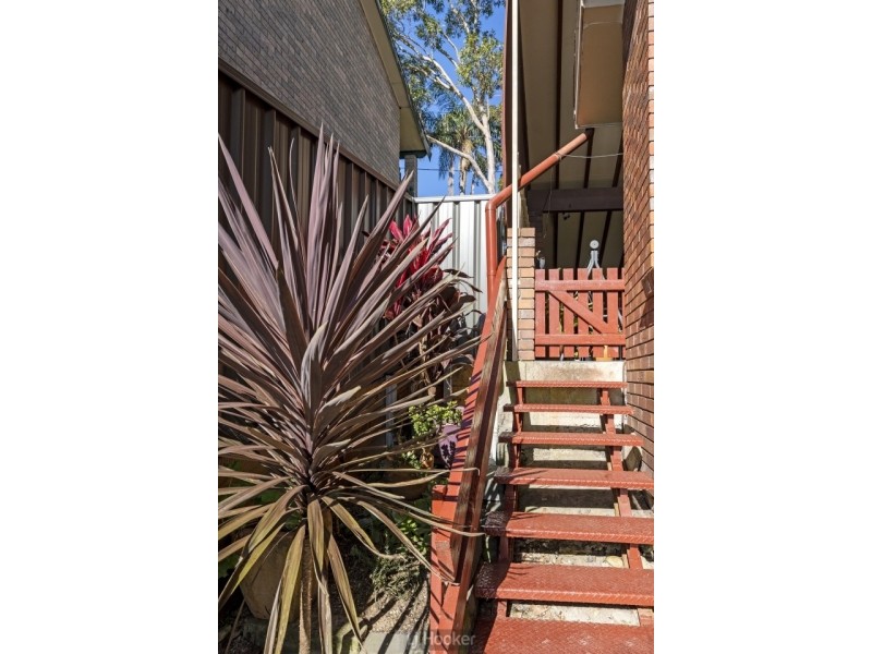 253 Excelsior Parade, Toronto NSW 2283