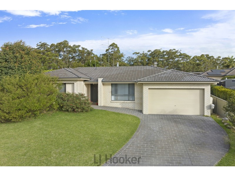 19 Cockatiel Street, Toronto NSW 2283