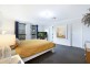 19 Cockatiel Street, Toronto NSW 2283