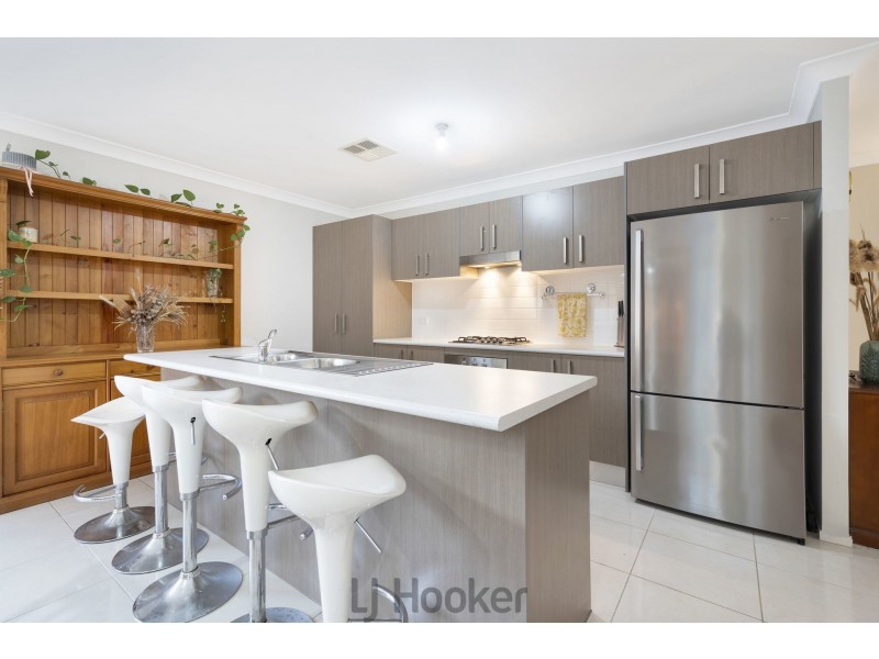 19 Cockatiel Street, Toronto NSW 2283