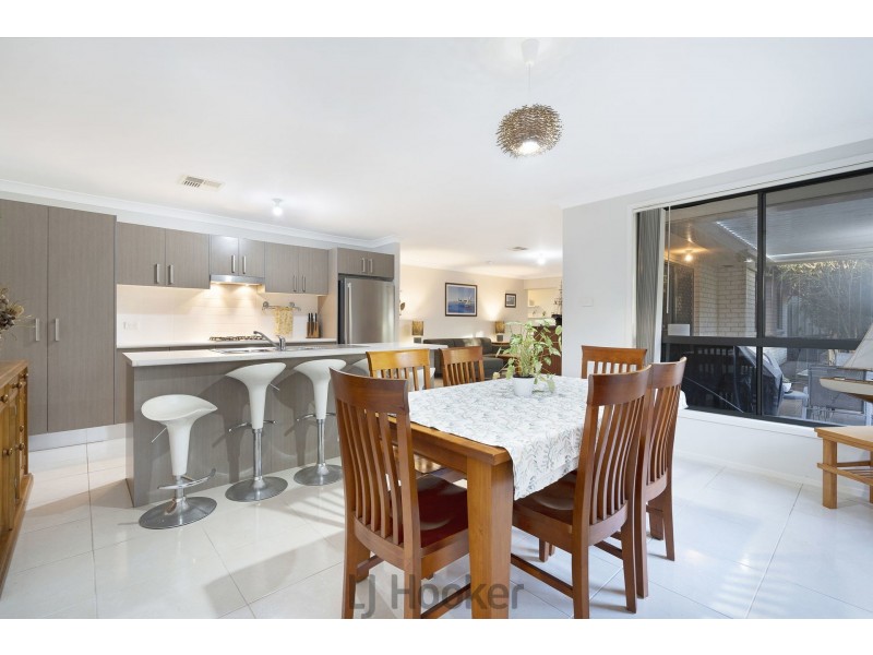 19 Cockatiel Street, Toronto NSW 2283