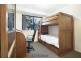 19 Cockatiel Street, Toronto NSW 2283